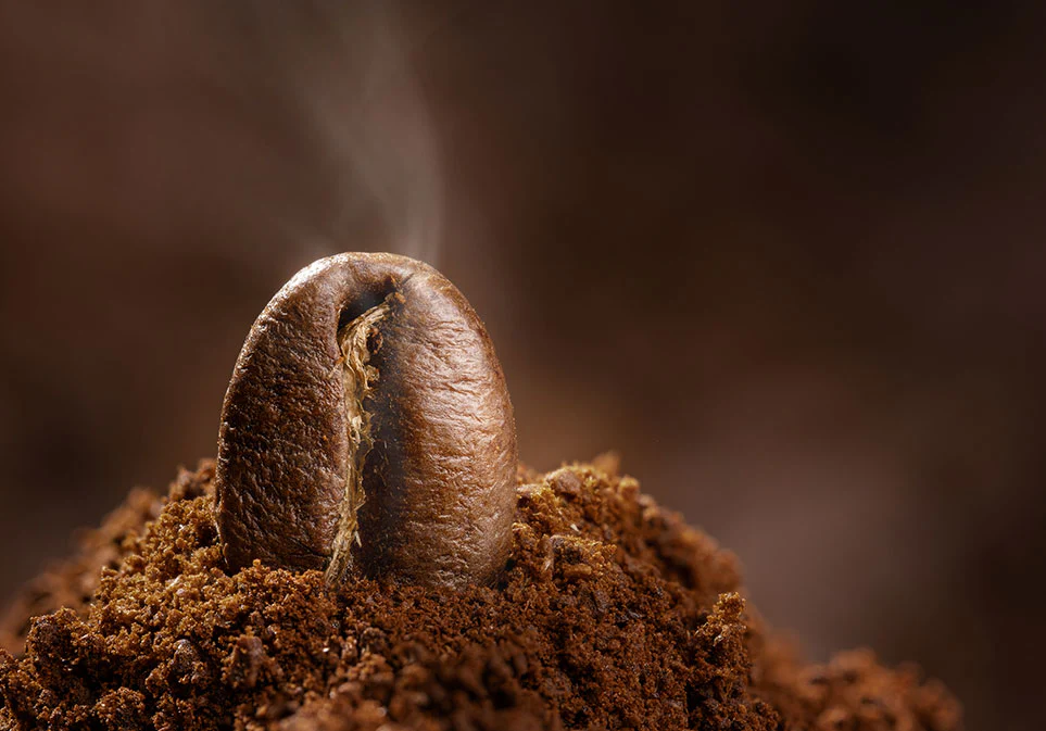 Coffee Pu'erh Tea - Image 7