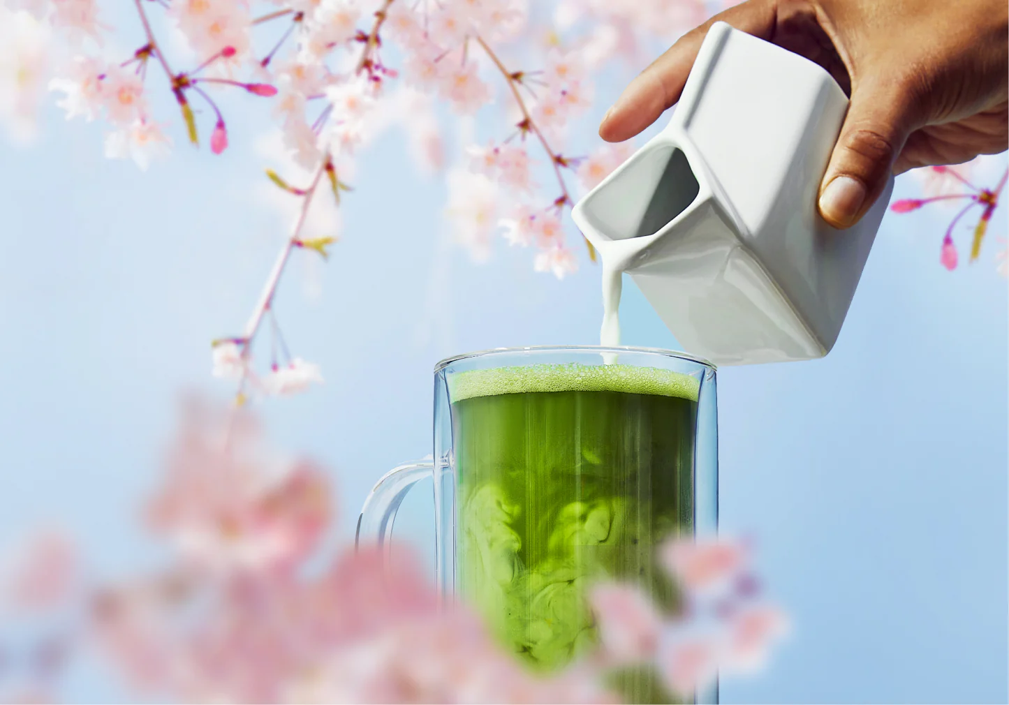 Organic Cherry Blossom Matcha - Image 7