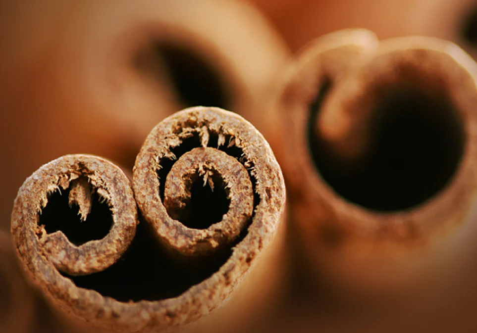 Organic Cinnamon Rooibos Chai - Image 6