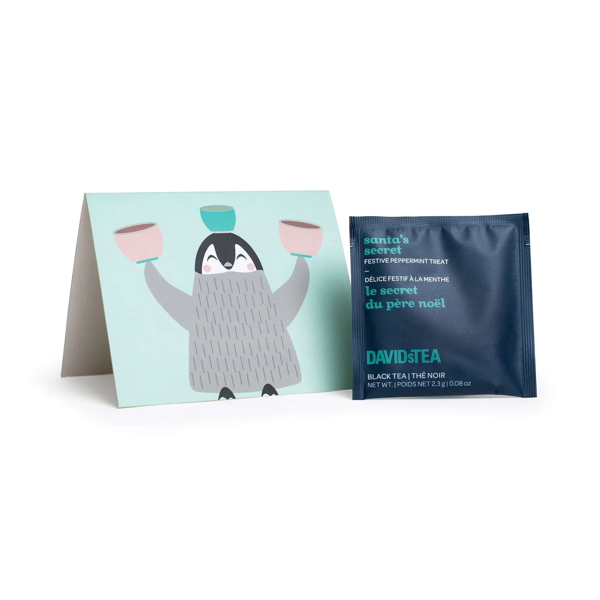 Set of 25 Jugglin' Penguin Notecards & Santa's Secret Sachets