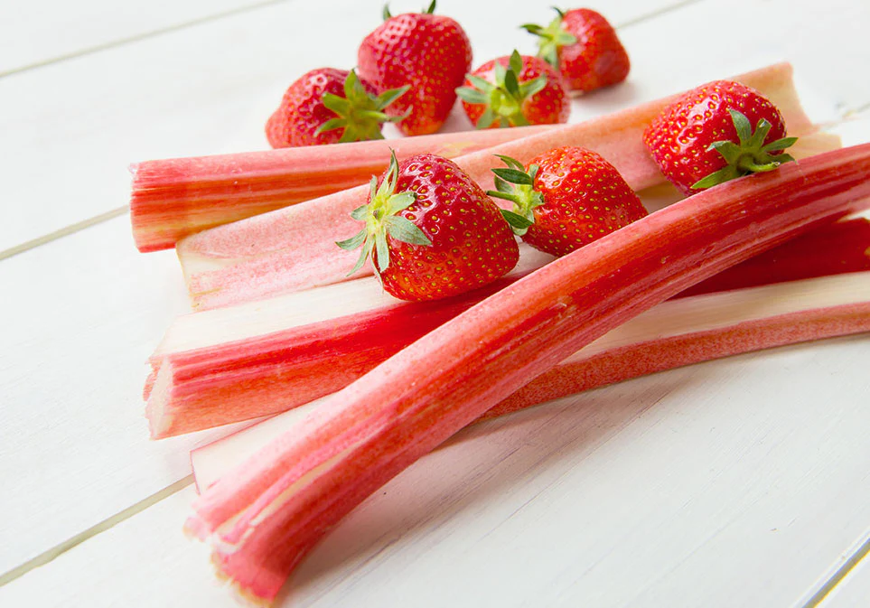 Strawberry Rhubarb Parfait Tea Pack of 15 Sachets - Image 3
